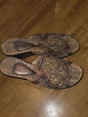 Dezario Embellished Metallic Brown Slide Mules with Decorative Applique